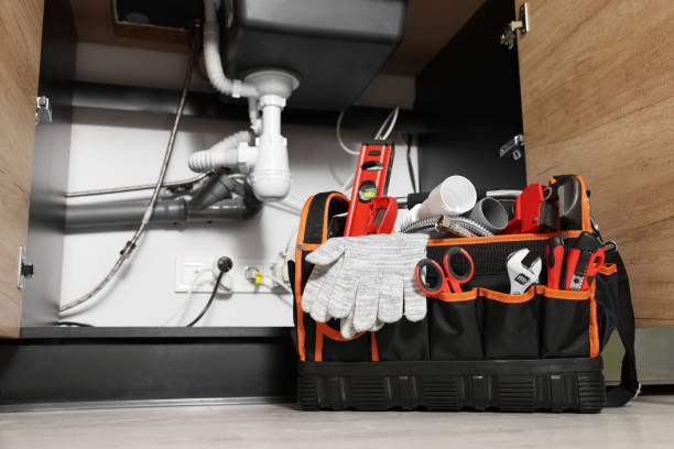 Best Plumbing Inspection Services  in Whitney, TX